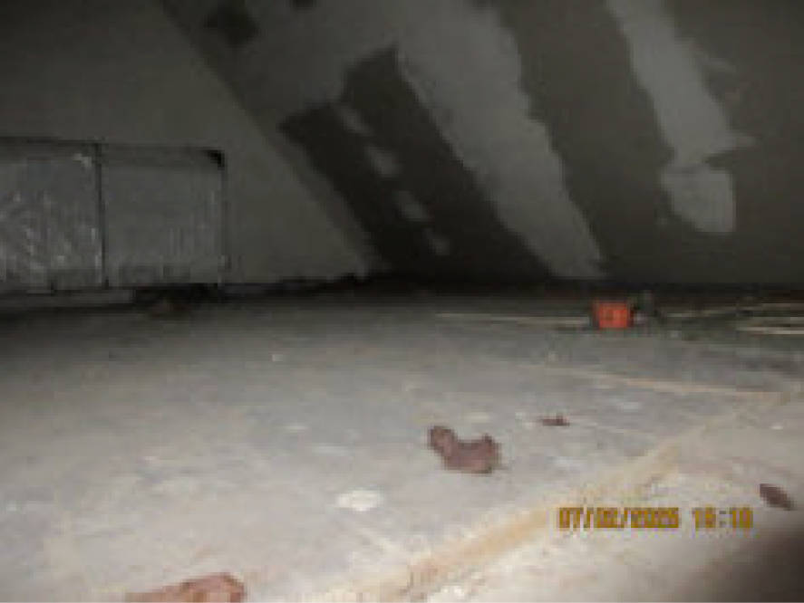 nordrheinwestpfalen 0021 K 0031/2024 Schlehdornweg 12, 14, 32805 Horn-Bad Meinberg 28