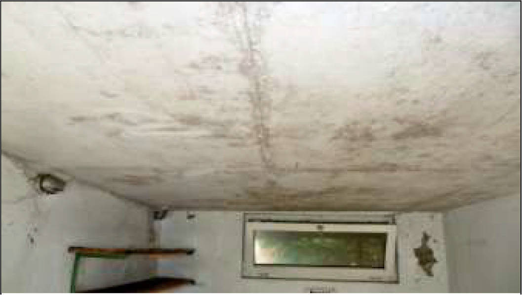 nordrheinwestpfalen 0021K0037-2023 Mackenbrucher Str. 14, 33813 Oerlinghausen 9