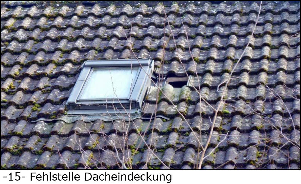 Einfamilienhaus in Rainstraße 6, 32760 Detmold, Spork-Eichholz - Bild 3