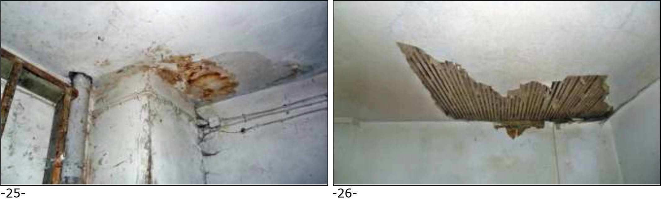 nordrheinwestpfalen 0021K0043-2023 Querweg 8, 33189 Schlangen 19