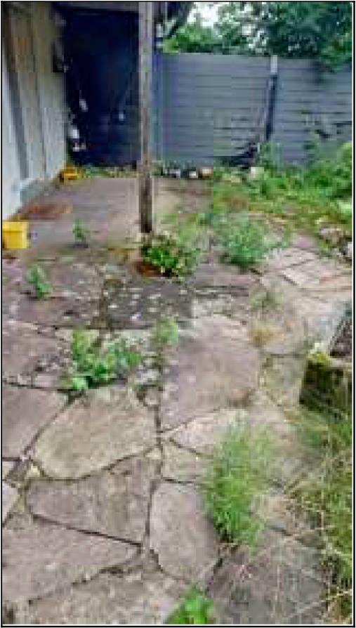 nordrheinwestpfalen 0021 K 0043/2024 Kupferbent 6, 32758 Detmold 22