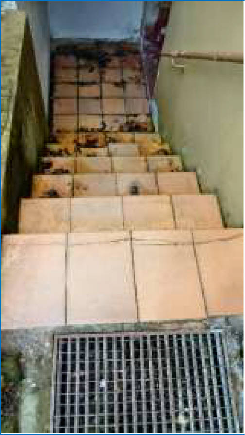 nordrheinwestpfalen 0021 K 0043/2024 Kupferbent 6, 32758 Detmold 12