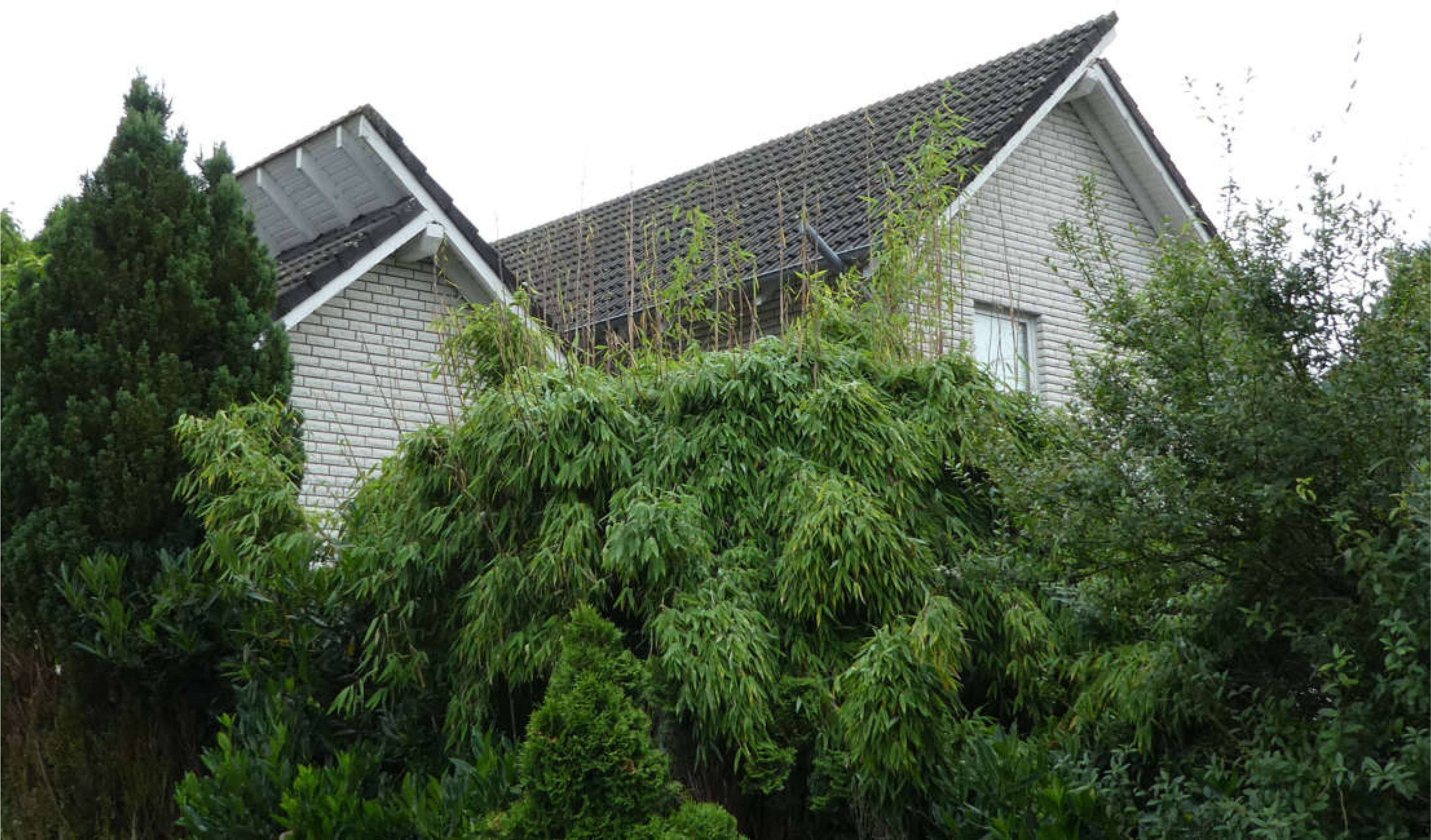nordrheinwestpfalen 0021K0049-2023 Karpfenstraße 5, 32832 Augustdorf 9