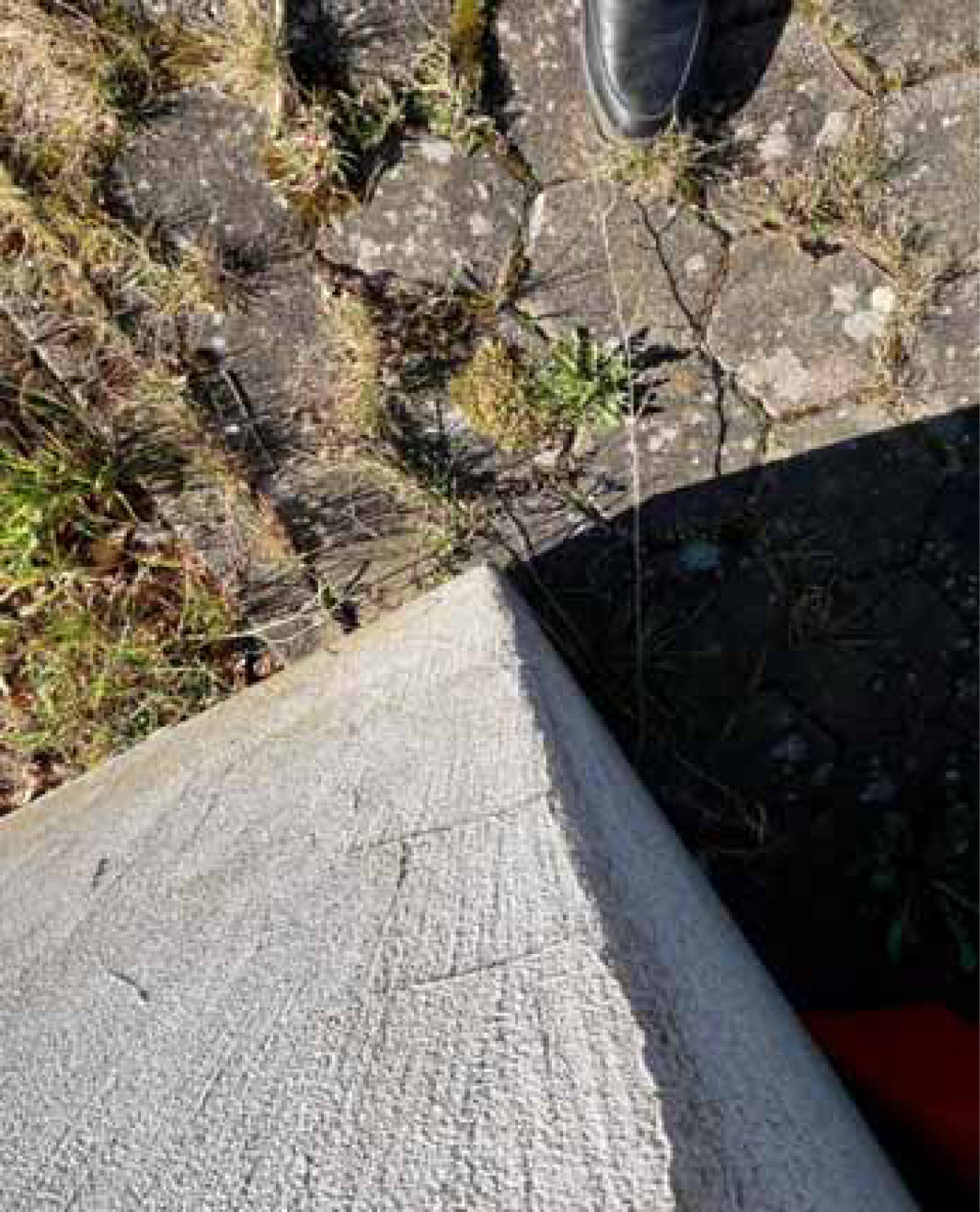 nordrheinwestpfalen 0021 K 0049/2024 Regenbogenweg 1, 32760 Detmold, Leistrup-Meiersfeld 9