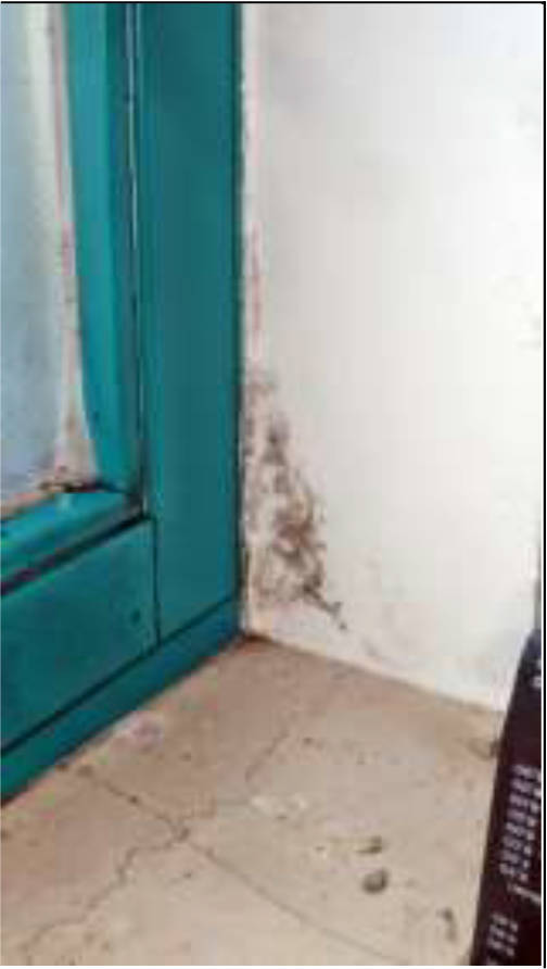 nordrheinwestpfalen 0021K0055-2024 Hudeweg 25, 32791 Lage, Hardissen 6