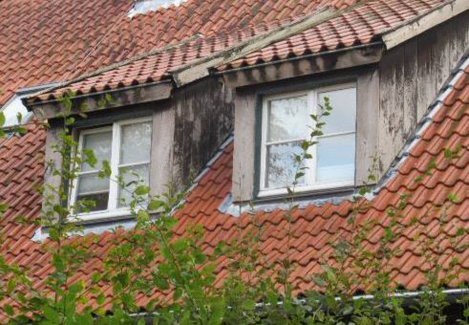 nordrheinwestpfalen 0022 . K 0009/2024 Unterstraße 14, 45659 Recklinghausen 20