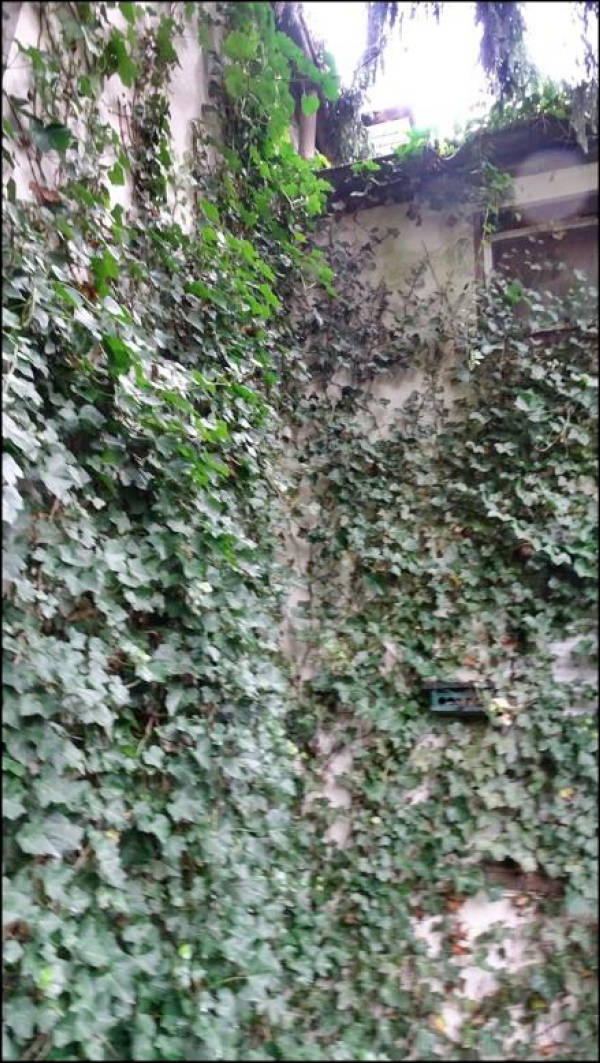 nordrheinwestpfalen 0022 . K 0011/2024 Mühlenstraße 16, 45701 Herten 11