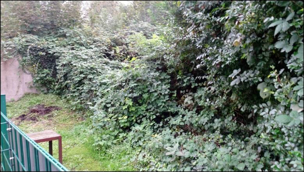 nordrheinwestpfalen 0022 . K 0011/2024 Mühlenstraße 16, 45701 Herten 16