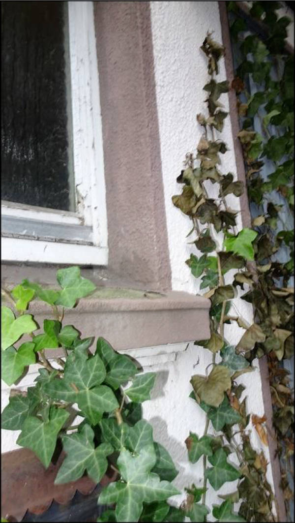 nordrheinwestpfalen 0022 . K 0011/2024 Mühlenstraße 16, 45701 Herten 18