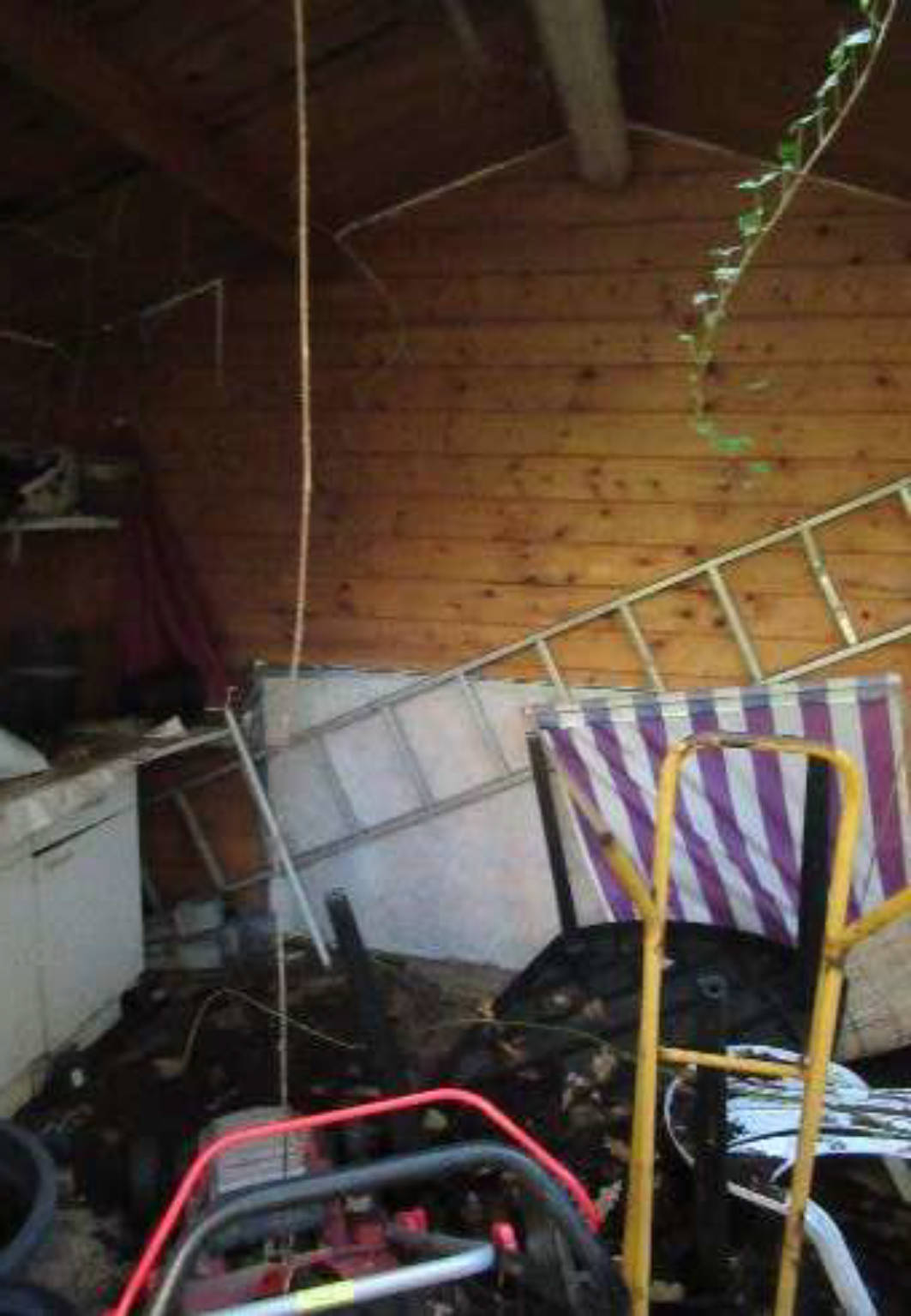 nordrheinwestpfalen 0022 . K 0012/2024 Parkweg 20, 45711 Datteln 17