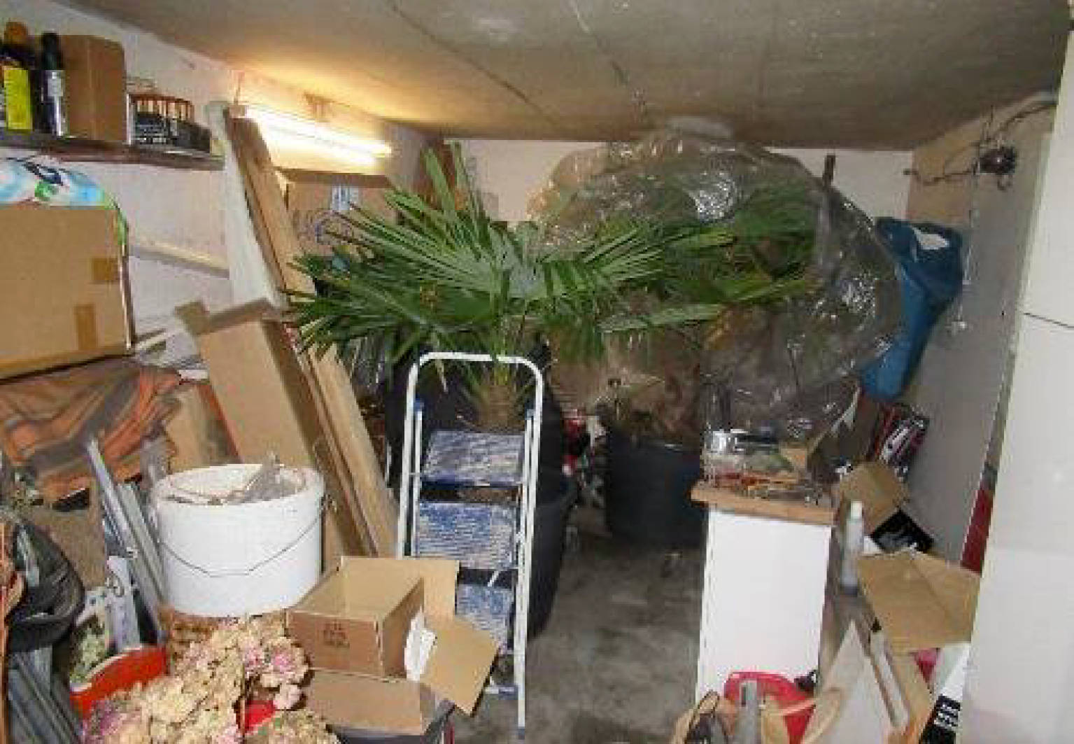 nordrheinwestpfalen 0022 . K 0041/2024 Berghäuser Straße 49, 45663 Recklinghausen 19