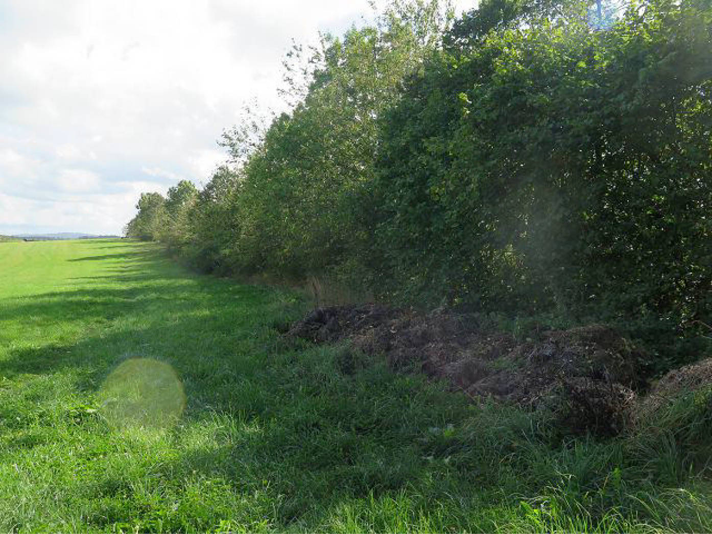 nordrheinwestpfalen 0022 K 0007/2025 Buschhauser Weg, Auf der Heide, 58511 Lüdenscheid 4