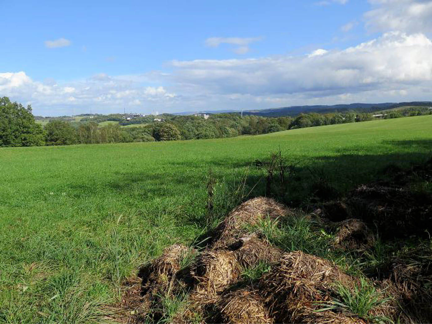 nordrheinwestpfalen 0022 K 0007/2025 Buschhauser Weg, Auf der Heide, 58511 Lüdenscheid 2