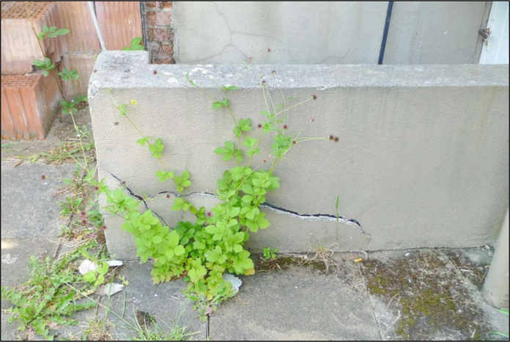 nordrheinwestpfalen 0022 K 0010/2025 Holzstraße 12, 59077 Hamm, Herringen 6