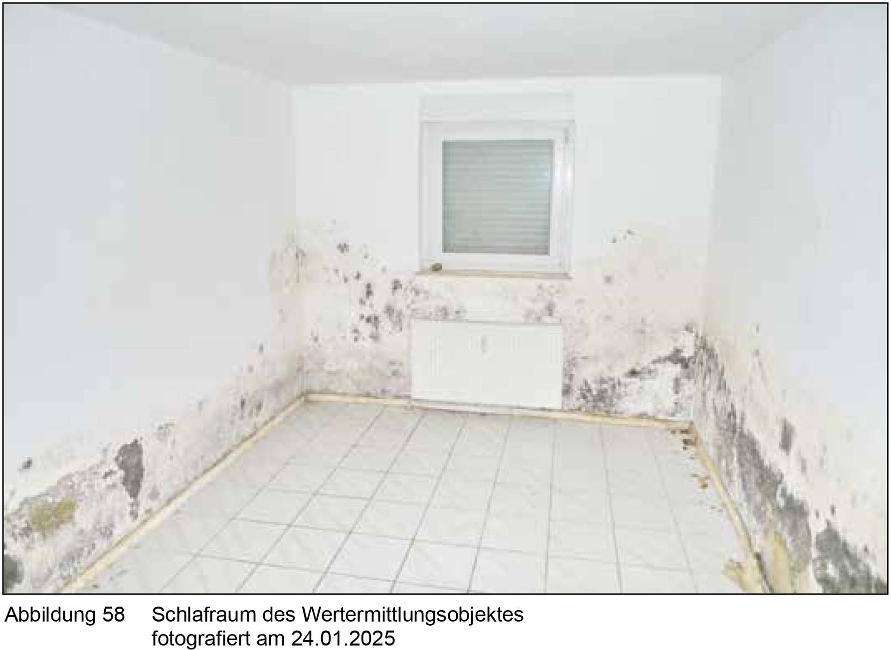 nordrheinwestpfalen 0022 K 0033/2024 Viktoriastraße 80, 59067 Hamm, Hamm 29