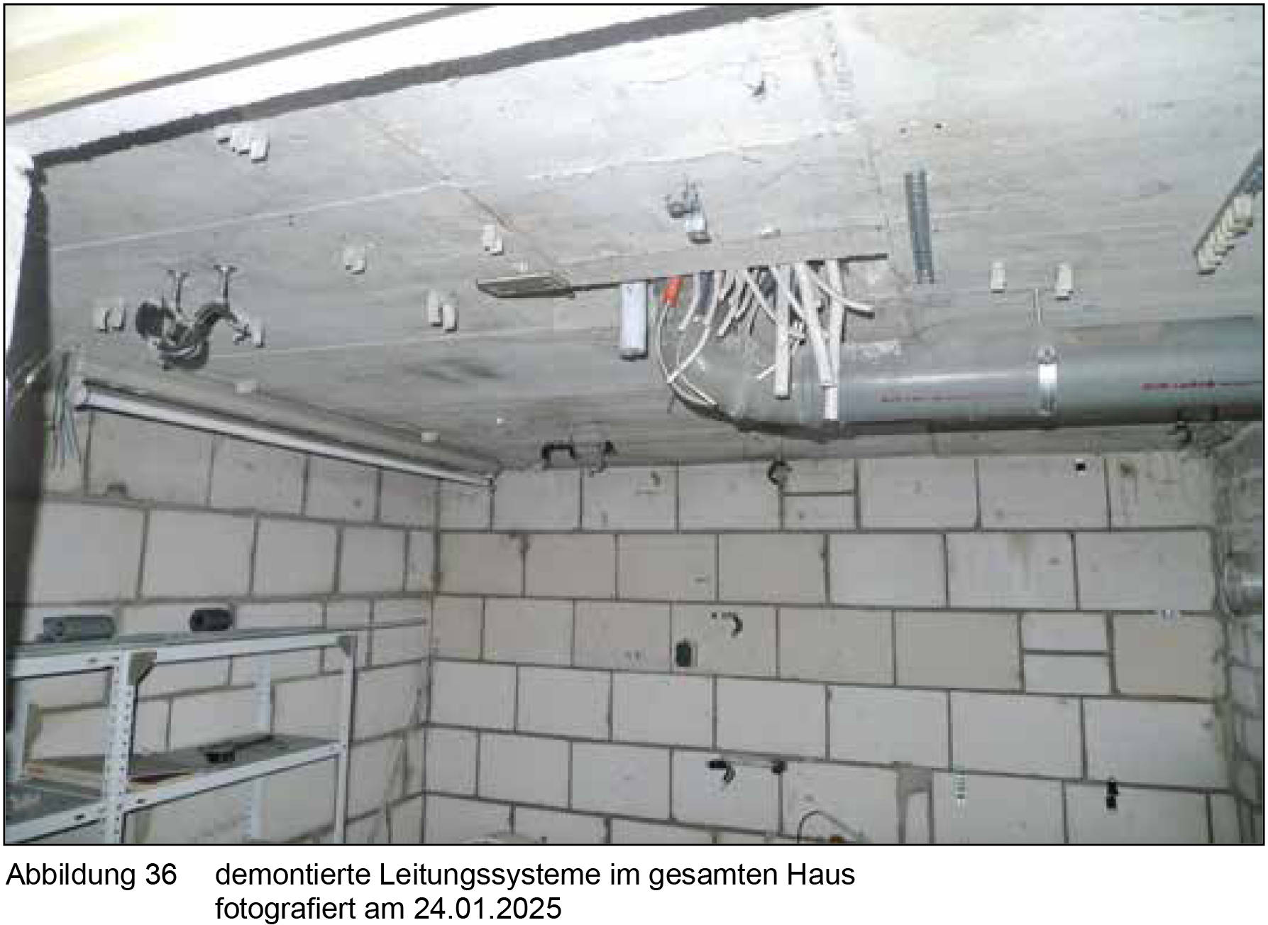 nordrheinwestpfalen 0022 K 0033/2024 Viktoriastraße 80, 59067 Hamm, Hamm 15