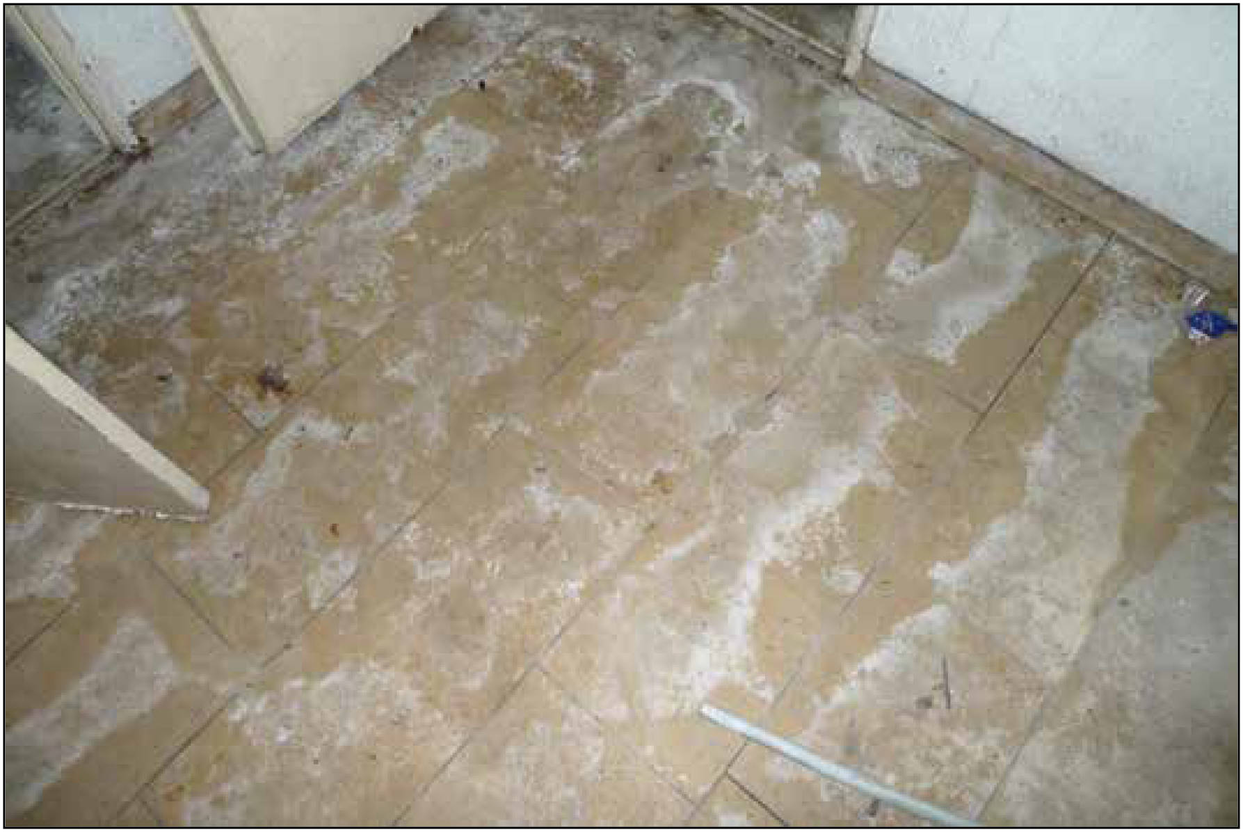 nordrheinwestpfalen 0022 K 0033/2024 Viktoriastraße 80, 59067 Hamm, Hamm 14