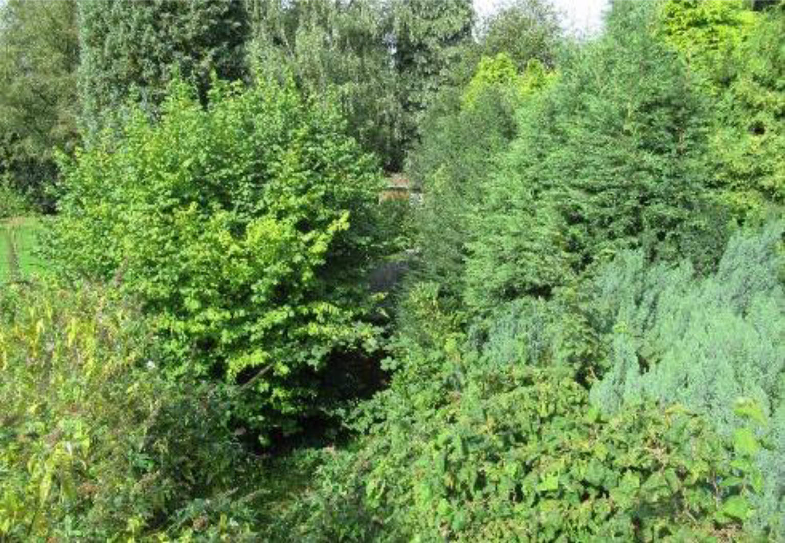 nordrheinwestpfalen 0022K0040-2023 Börster Weg 189, 45657 Recklinghausen 14