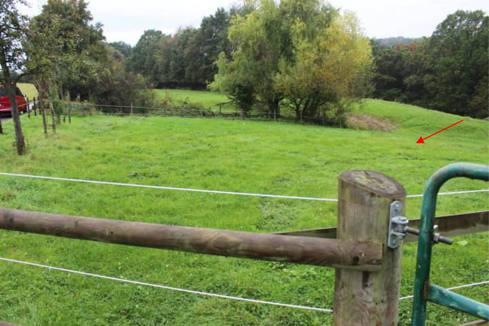nordrheinwestpfalen 0023K0004-2023 In der Ellenmaar; In den Mühlenhecken, 00000 Bonn, Lengsdorf 13