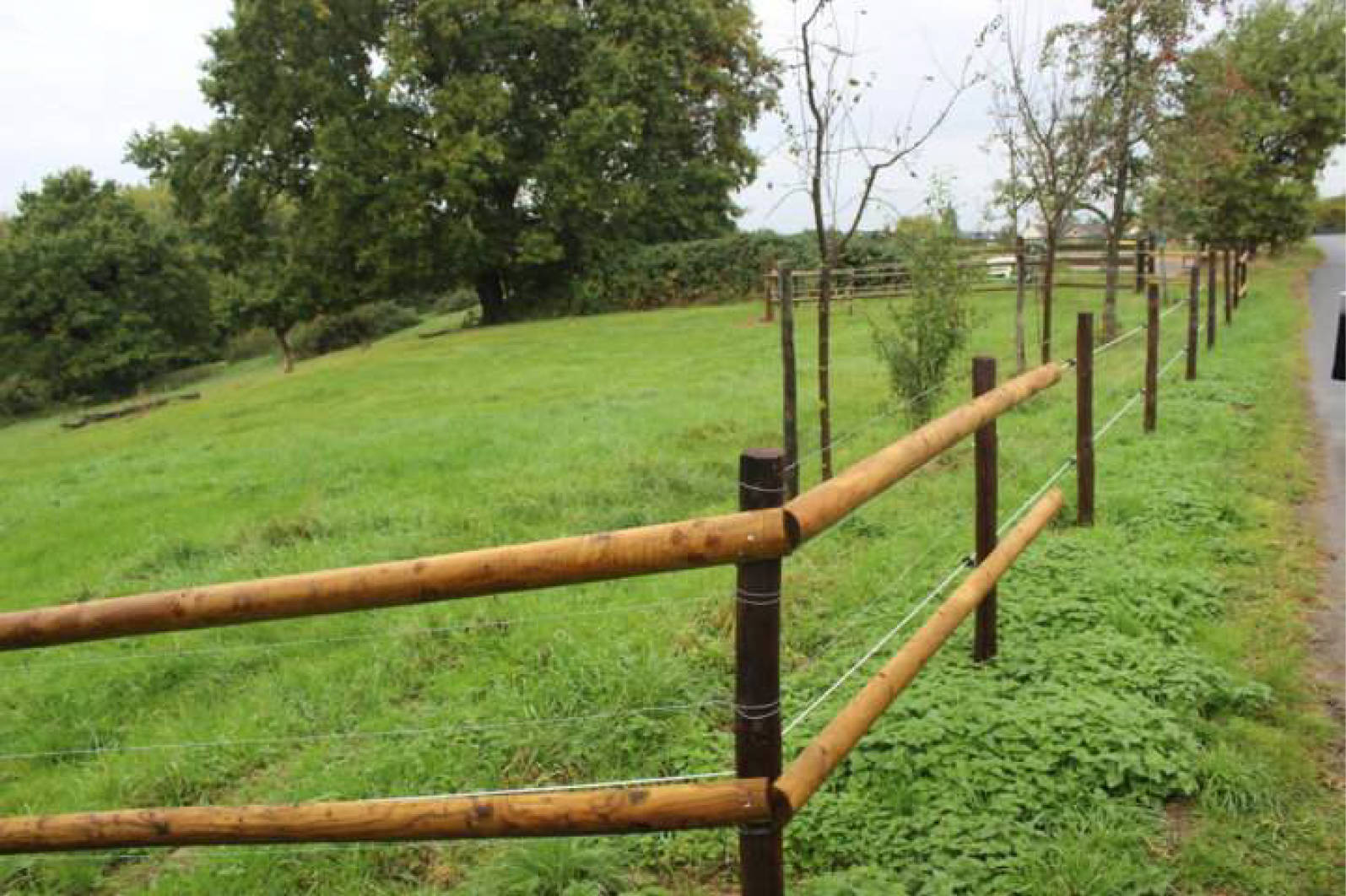 nordrheinwestpfalen 0023K0004-2023 In der Ellenmaar; In den Mühlenhecken, 00000 Bonn, Lengsdorf 8