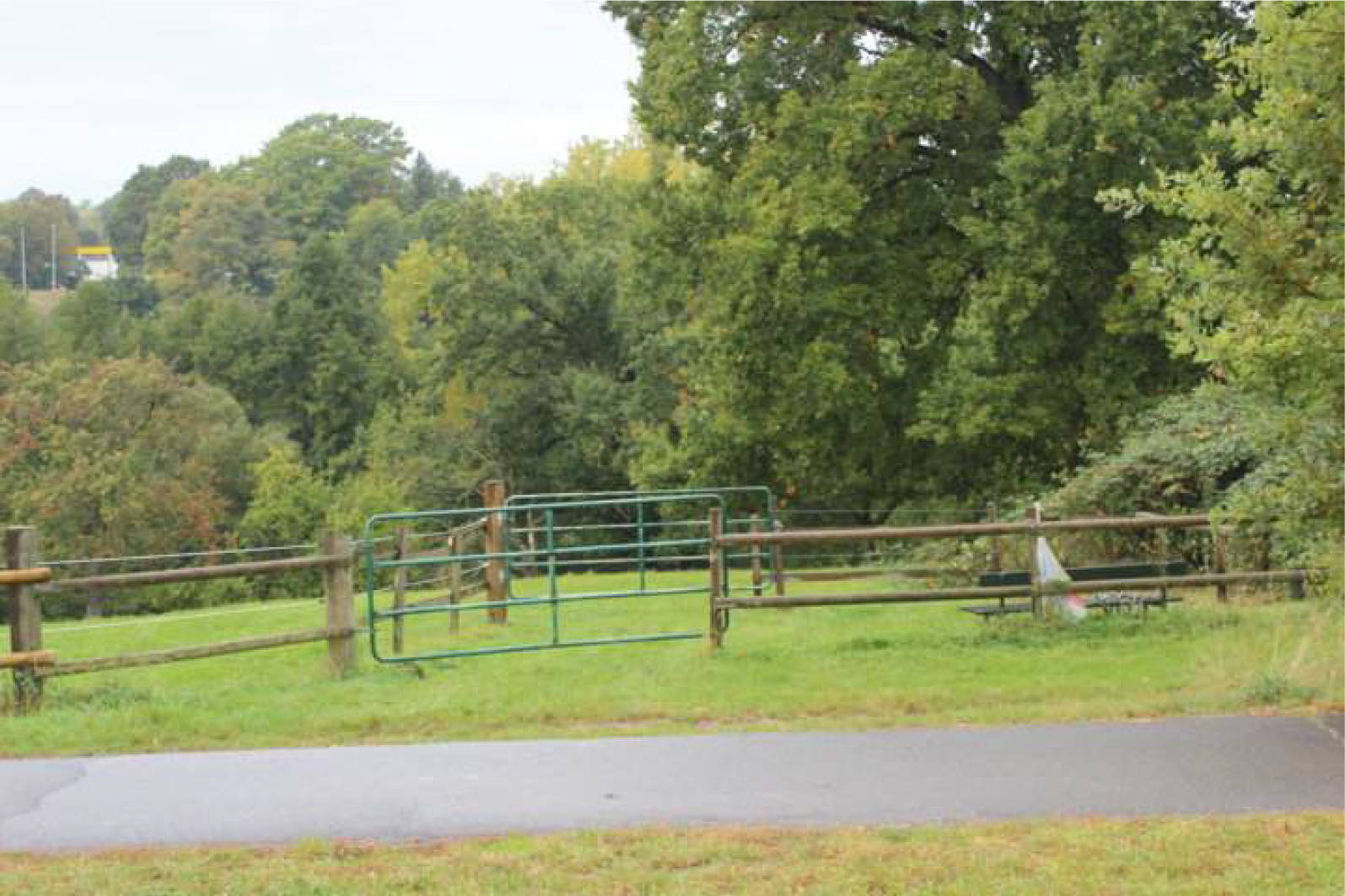 nordrheinwestpfalen 0023K0004-2023 In der Ellenmaar; In den Mühlenhecken, 00000 Bonn, Lengsdorf 6