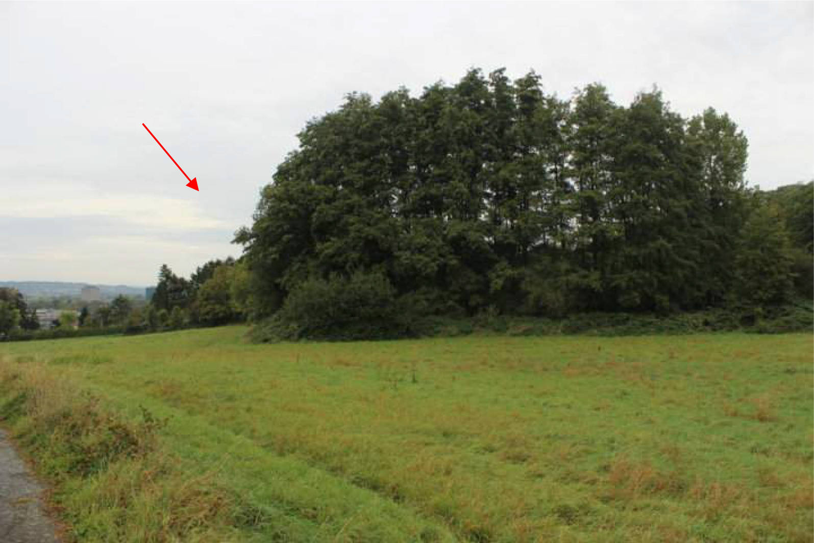 nordrheinwestpfalen 0023K0004-2023 In der Ellenmaar; In den Mühlenhecken, 00000 Bonn, Lengsdorf 14