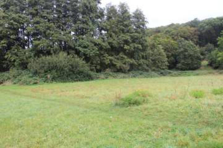 nordrheinwestpfalen 0023K0004-2023 In der Ellenmaar; In den Mühlenhecken, 00000 Bonn, Lengsdorf 11