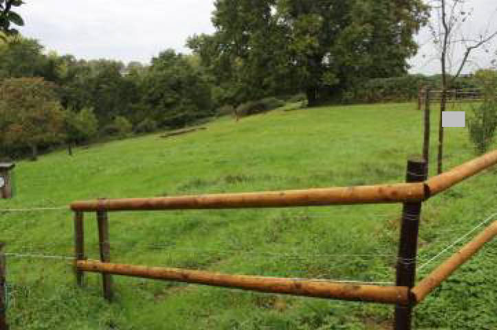 land- und forstwirtschaftlich genutztes Grundstück, unbebautes Grundstück in In der Ellenmaar; In den Mühlenhecken, 00000 Bonn, Lengsdorf