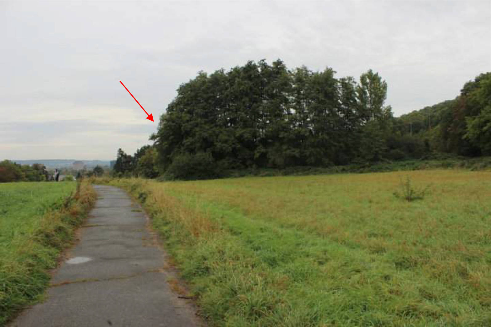 nordrheinwestpfalen 0023K0004-2023 In der Ellenmaar; In den Mühlenhecken, 00000 Bonn, Lengsdorf 12
