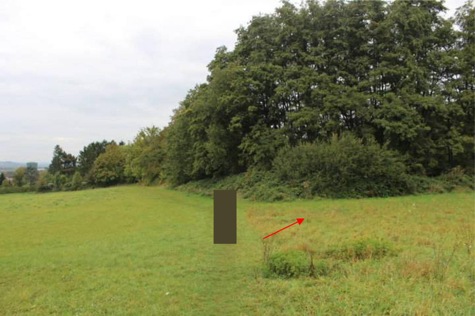 nordrheinwestpfalen 0023K0004-2023 In der Ellenmaar; In den Mühlenhecken, 00000 Bonn, Lengsdorf 7