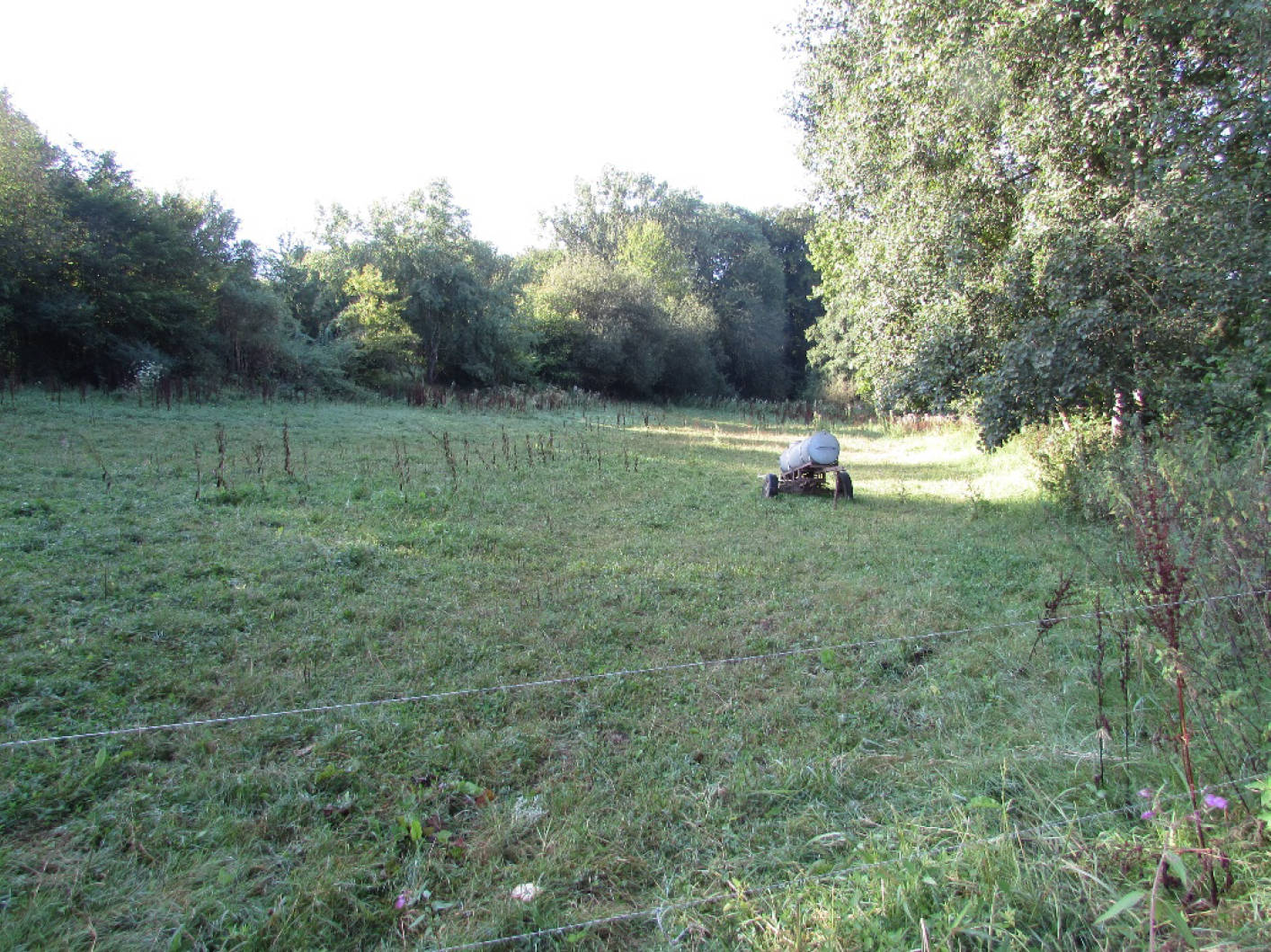 Im Kesselsberg , 53343 Wachtberg, Züllighoven