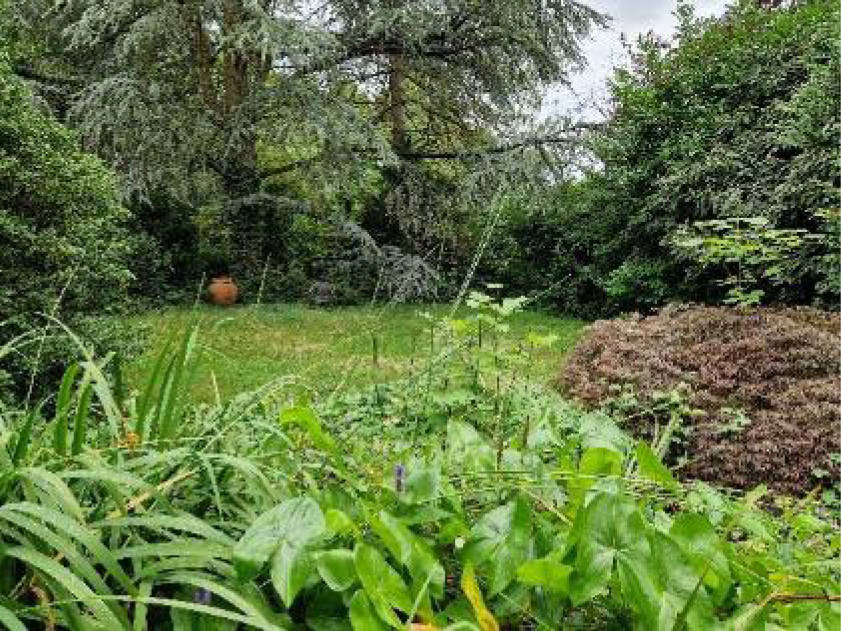 nordrheinwestpfalen 0023K0009-2023 Plittersdorfer Strasse 54, 53173 Bonn, Plittersdorf
