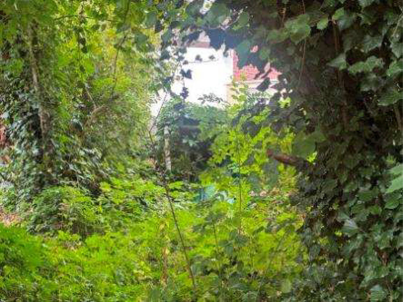 Doppelhaushälfte in Zeppelinstraße 37, 44534 Lünen - Bild 4