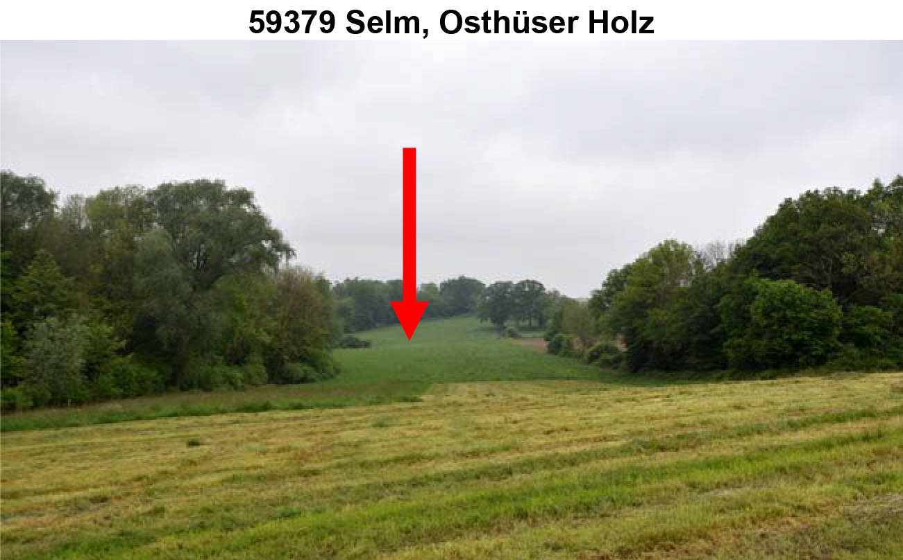 nordrheinwestpfalen 0023K0024-2023 Osthüser Holz, 59379 Selm, Bork