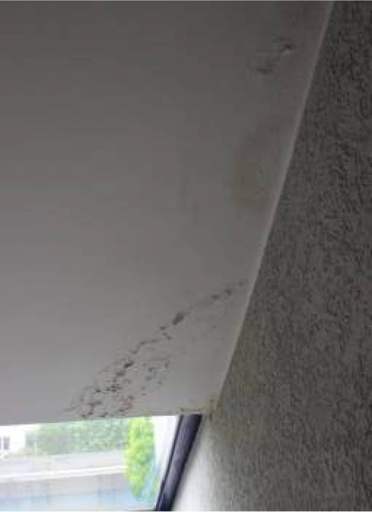 nordrheinwestpfalen 0023K0031-2023 Langer Grabenweg 19,21,23, 53175 Bonn, Friesdorf