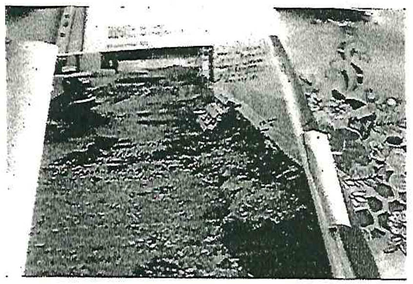 nordrheinwestpfalen 0023 K 0042/2022 Domhofstraße 14, 53179 Bonn, Mehlem 10