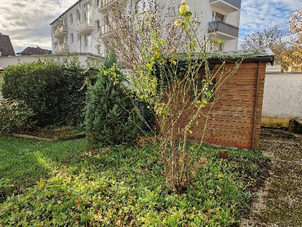 Sonstiges in Buchholzstraße 7, 53127 Bonn, Ippendorf