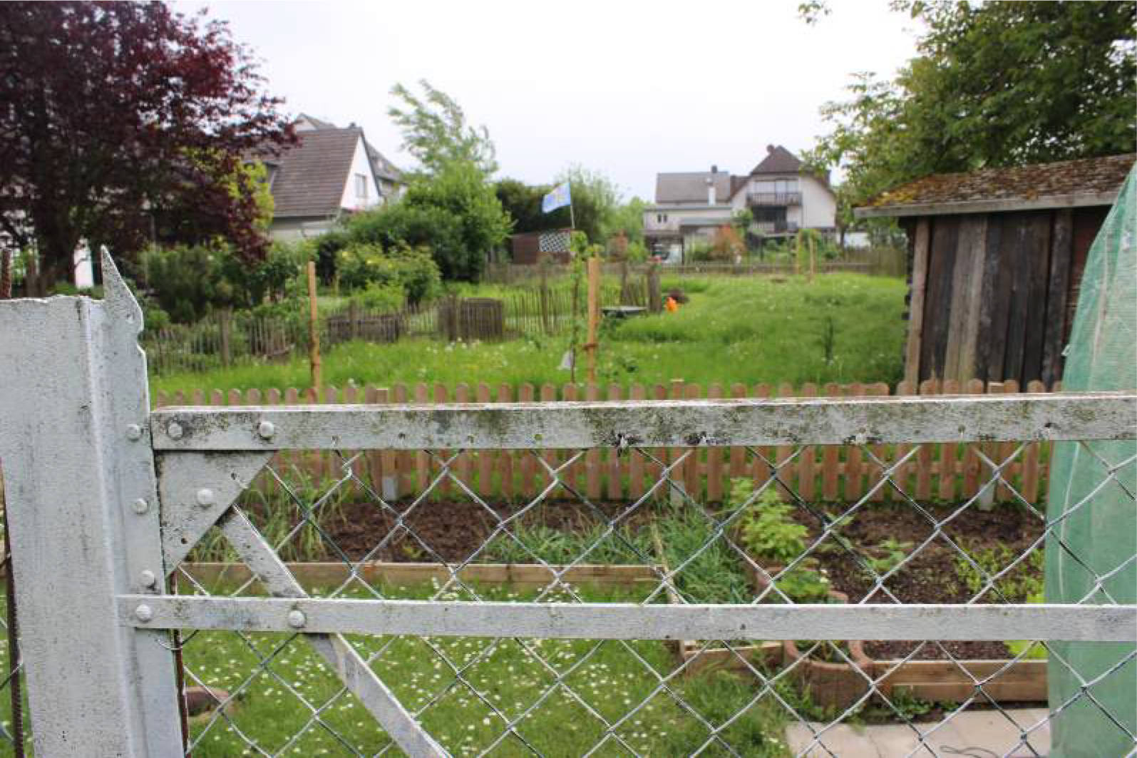 nordrheinwestpfalen 0023K0072-2023 zwischen "Rheindorfer Straße" und dem "Weingarten", 53332 Bornheim, Hersel