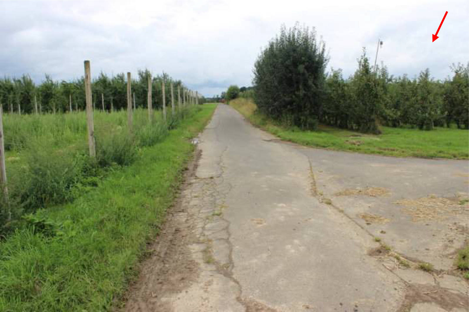 unbebautes Grundstück, land- und frostwirtschaftlich genutztes Grundstück in An der Holzstraße, 53343 Wachtberg - Bild 5