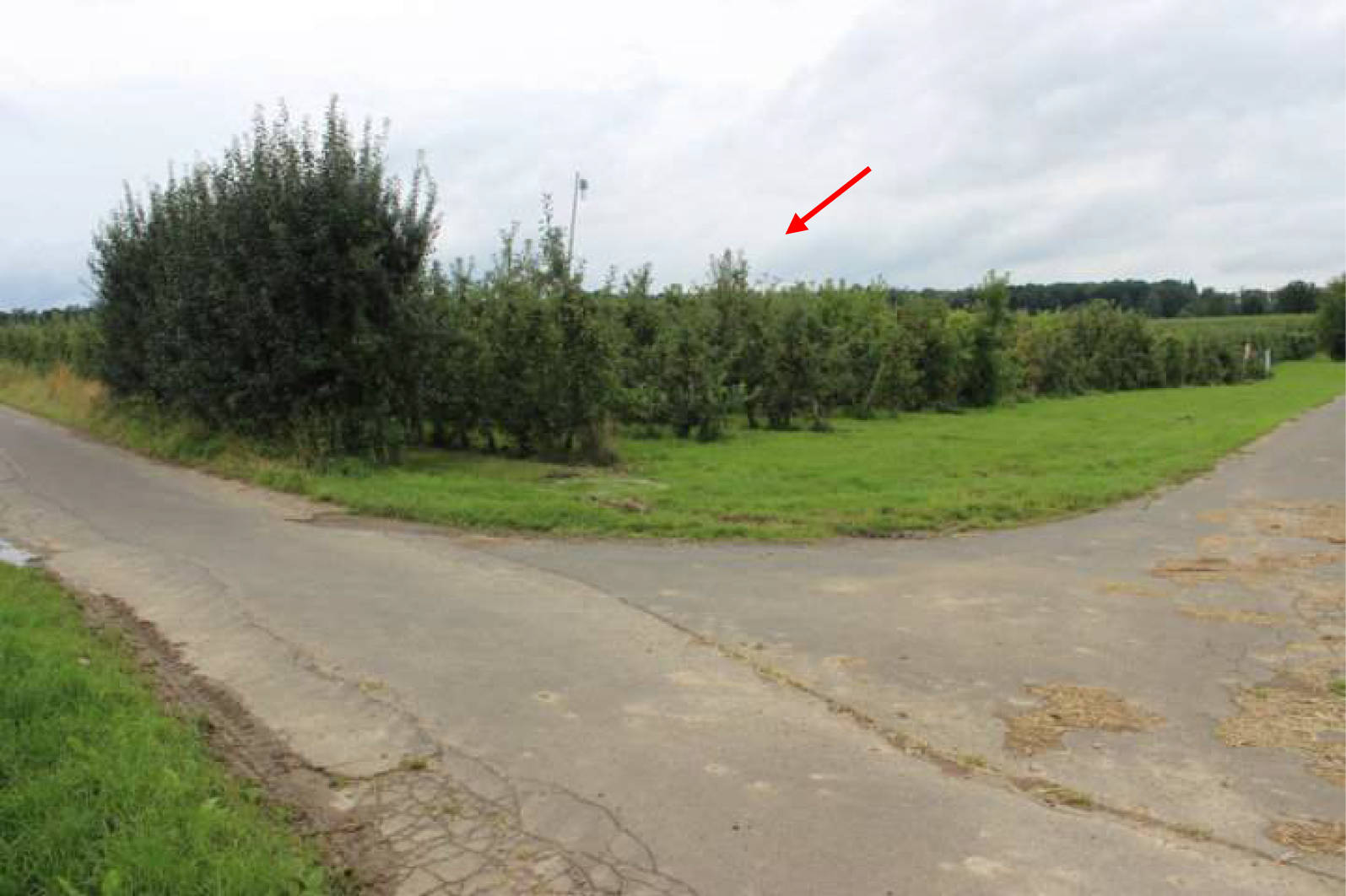 unbebautes Grundstück, land- und frostwirtschaftlich genutztes Grundstück in An der Holzstraße, 53343 Wachtberg