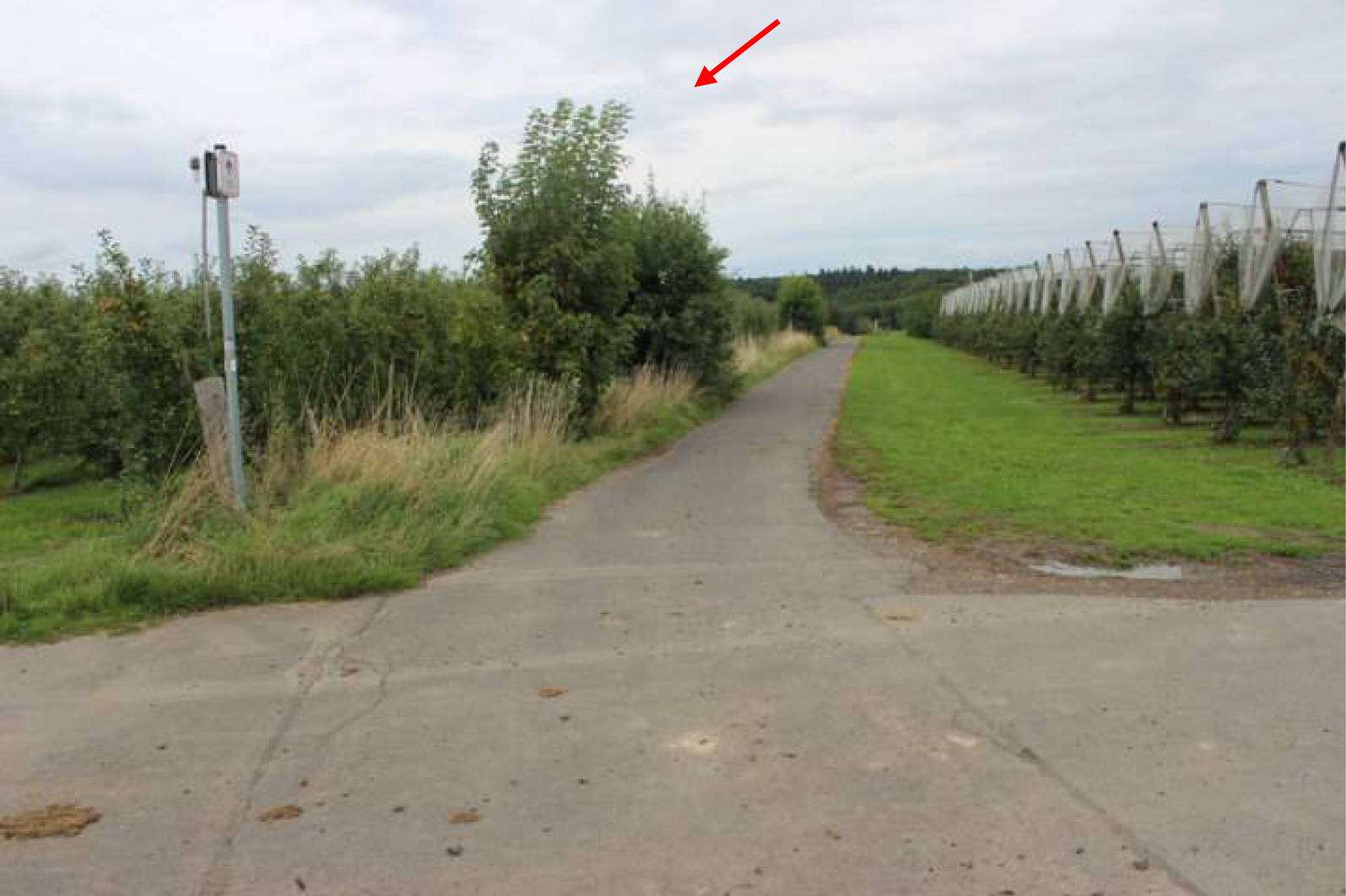 nordrheinwestpfalen 0023K0074-2022 An der Holzstraße, 53343 Wachtberg 11