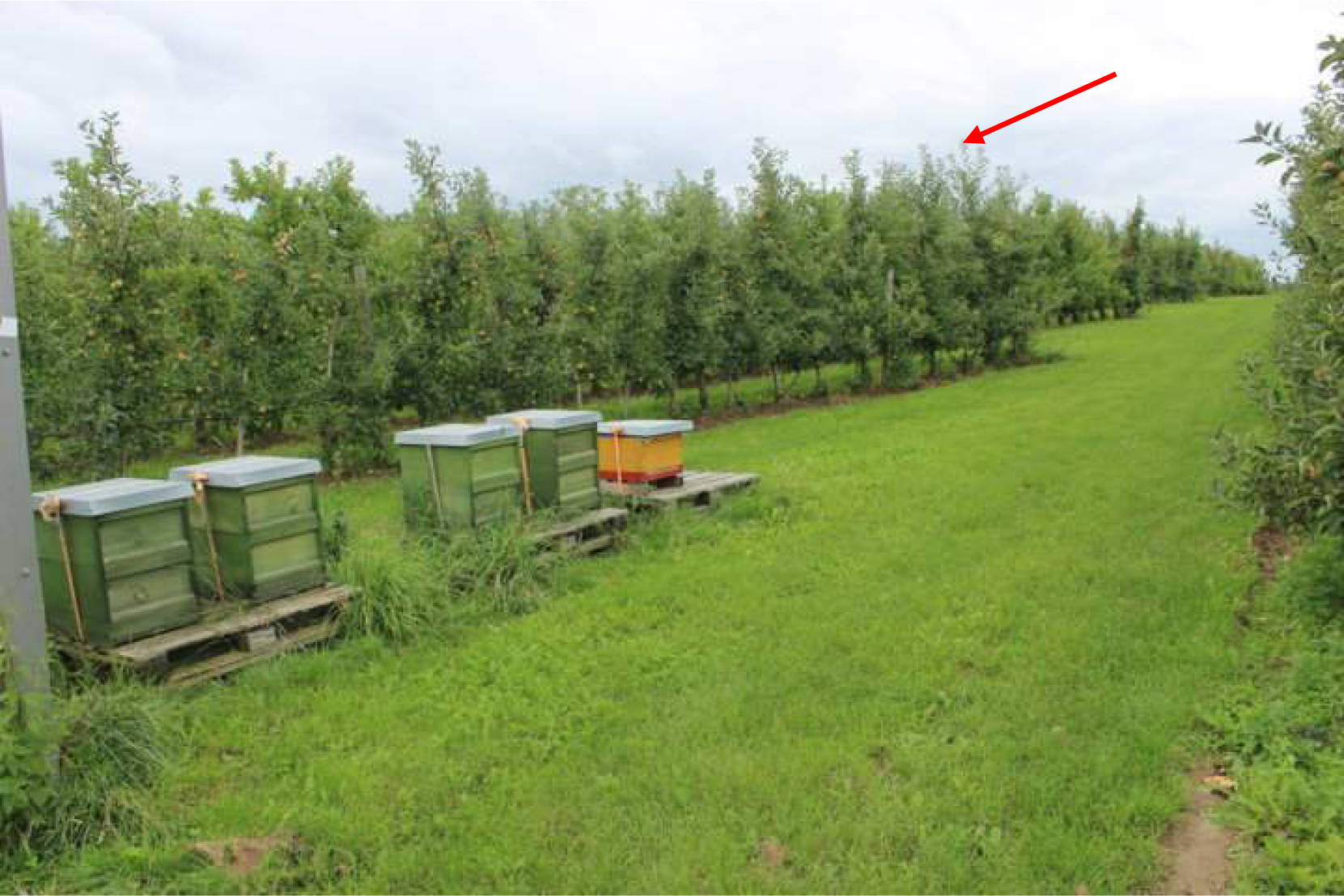 nordrheinwestpfalen 0023K0074-2022 An der Holzstraße, 53343 Wachtberg 9