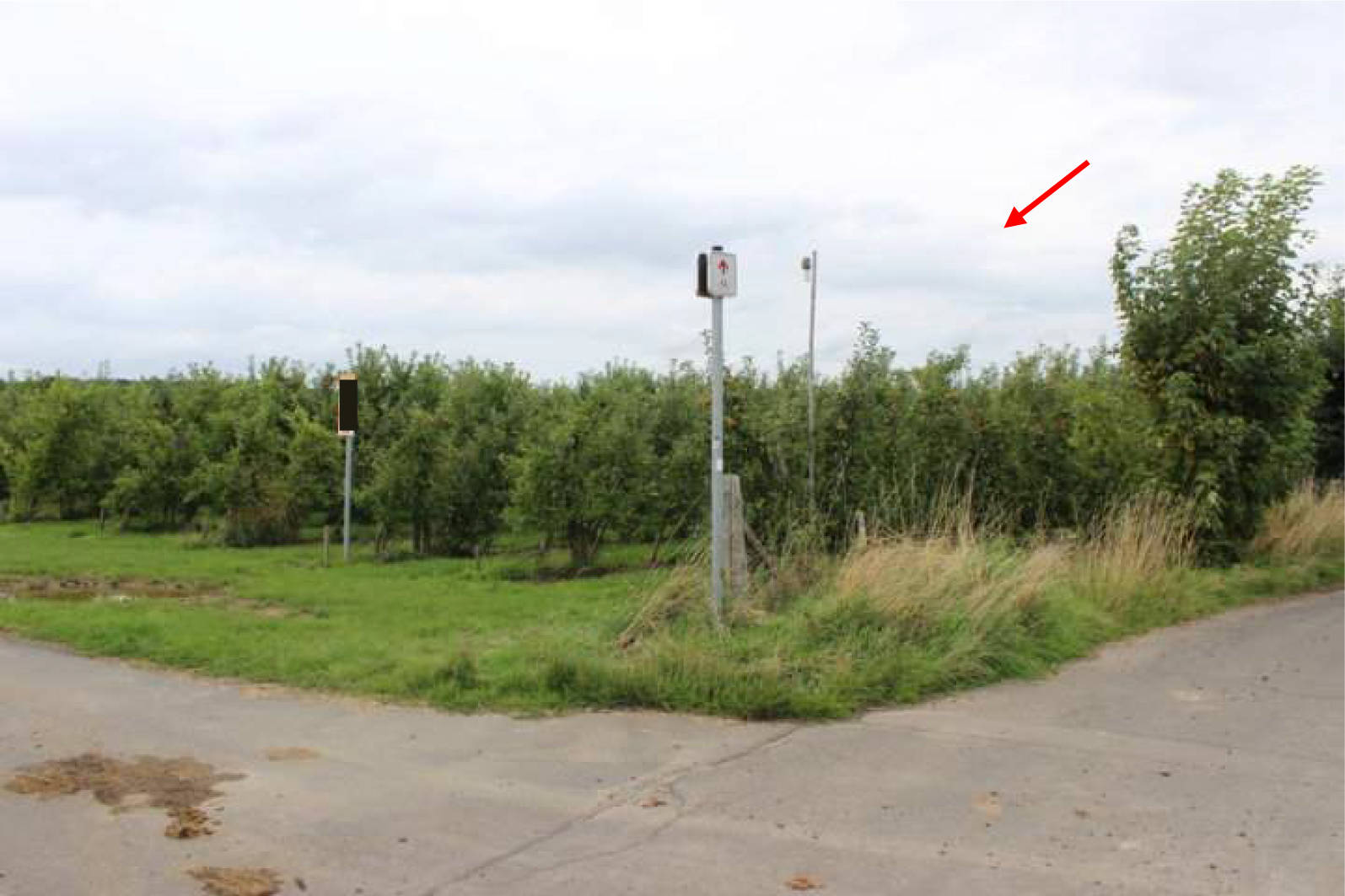 unbebautes Grundstück, land- und frostwirtschaftlich genutztes Grundstück in An der Holzstraße, 53343 Wachtberg - Bild 3