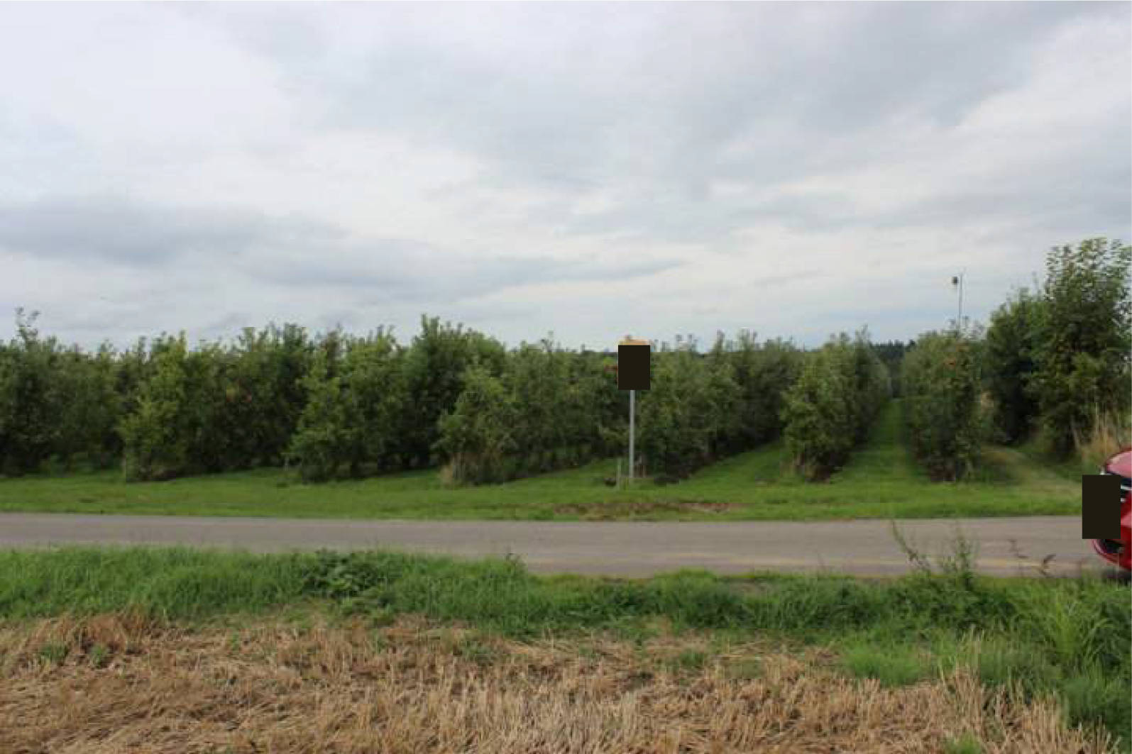 nordrheinwestpfalen 0023K0074-2022 An der Holzstraße, 53343 Wachtberg 8