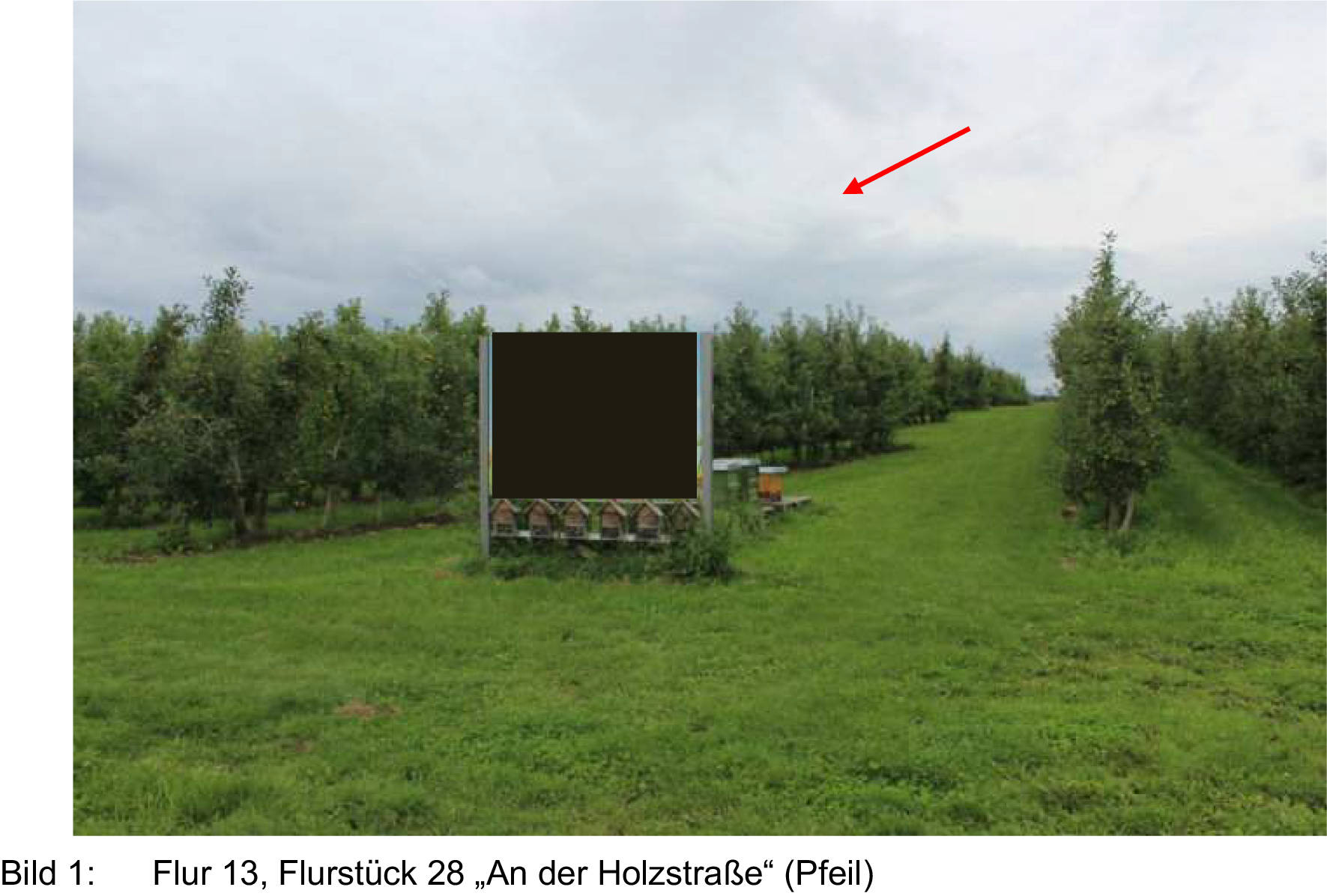 nordrheinwestpfalen 0023K0074-2022 An der Holzstraße, 53343 Wachtberg 13