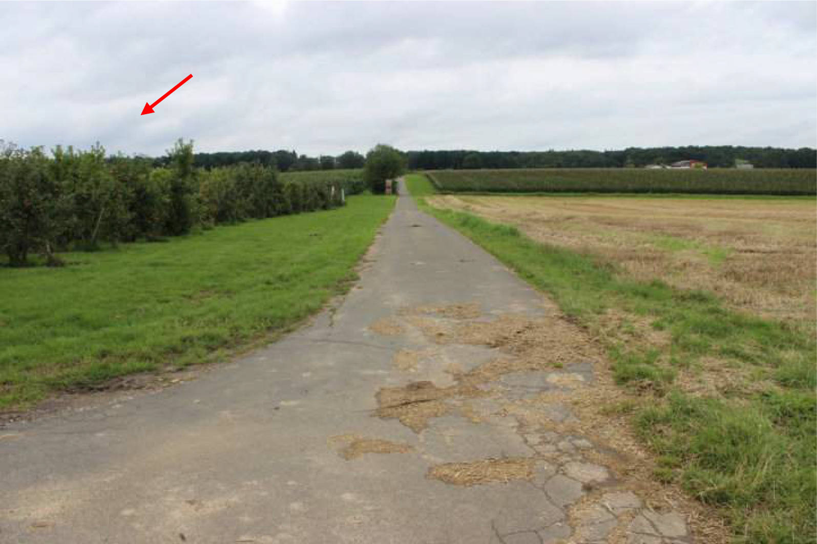 nordrheinwestpfalen 0023K0074-2022 An der Holzstraße, 53343 Wachtberg 6
