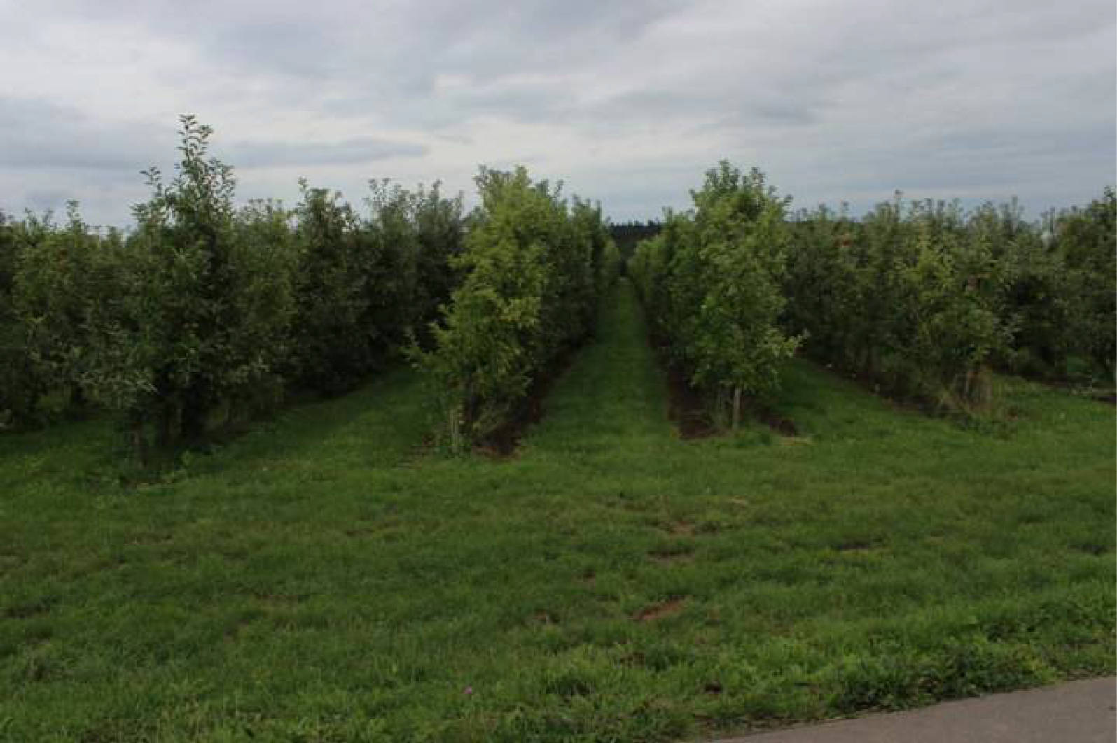 nordrheinwestpfalen 0023K0074-2022 An der Holzstraße, 53343 Wachtberg 10