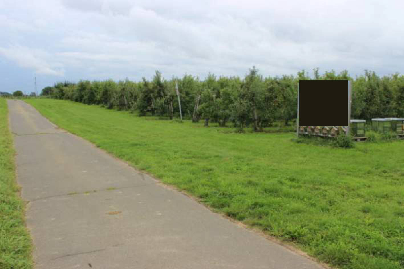 unbebautes Grundstück, land- und frostwirtschaftlich genutztes Grundstück in An der Holzstraße, 53343 Wachtberg - Bild 2