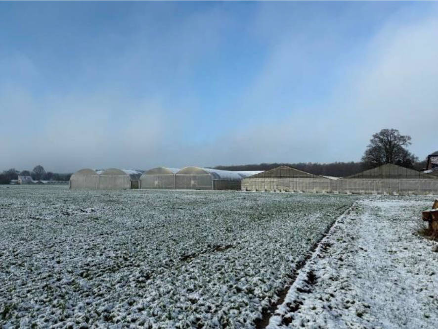 nordrheinwestpfalen 0027K0008-2024 , 47574 Goch, Nierswalde 10