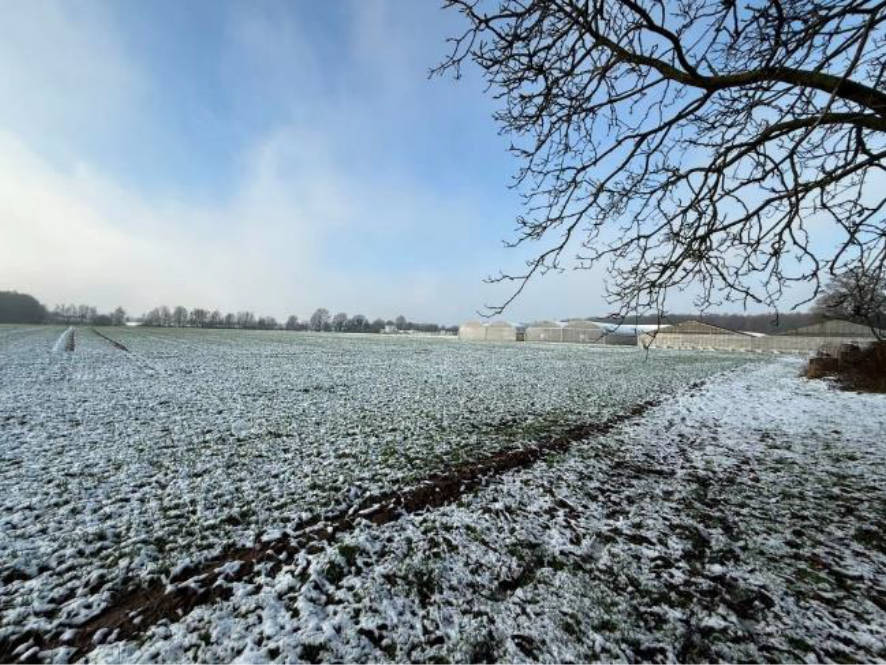 nordrheinwestpfalen 0027K0008-2024 , 47574 Goch, Nierswalde 9